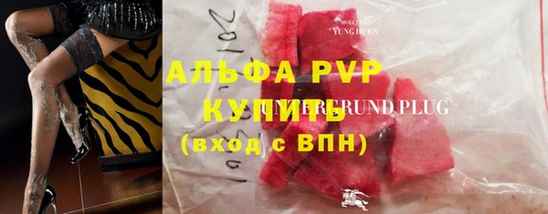 индика Горно-Алтайск
