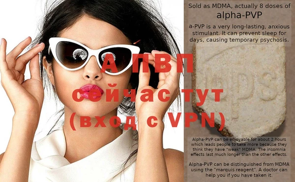 индика Горно-Алтайск