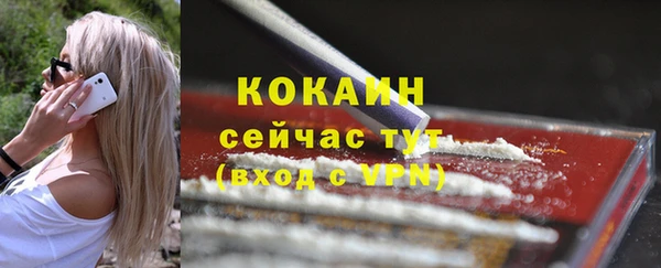 винт Горняк