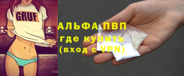 индика Горно-Алтайск