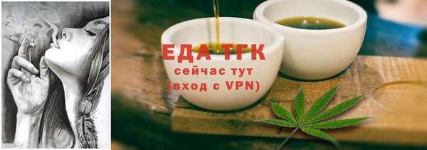 индика Горно-Алтайск