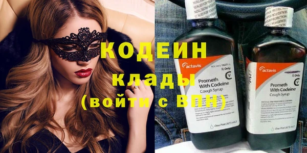 индика Горно-Алтайск