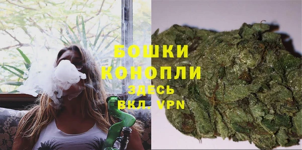 индика Горно-Алтайск