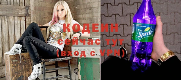 индика Горно-Алтайск