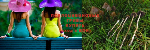 эйфоретик Горнозаводск