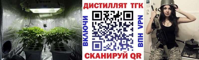 маркетплейс формула  Калач-на-Дону  Дистиллят ТГК гашишное масло 
